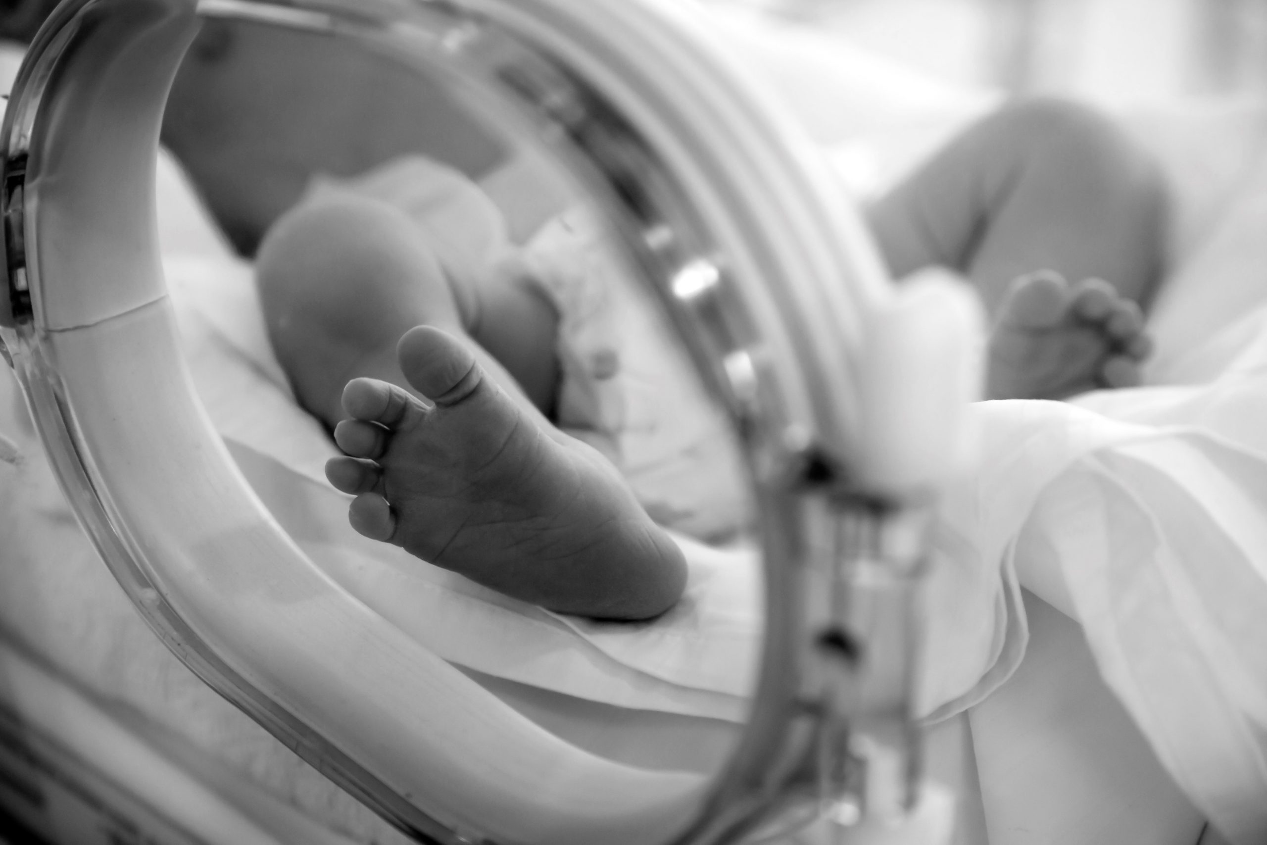 Newborn baby feet in incubator